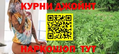 молекула духа Кулебаки