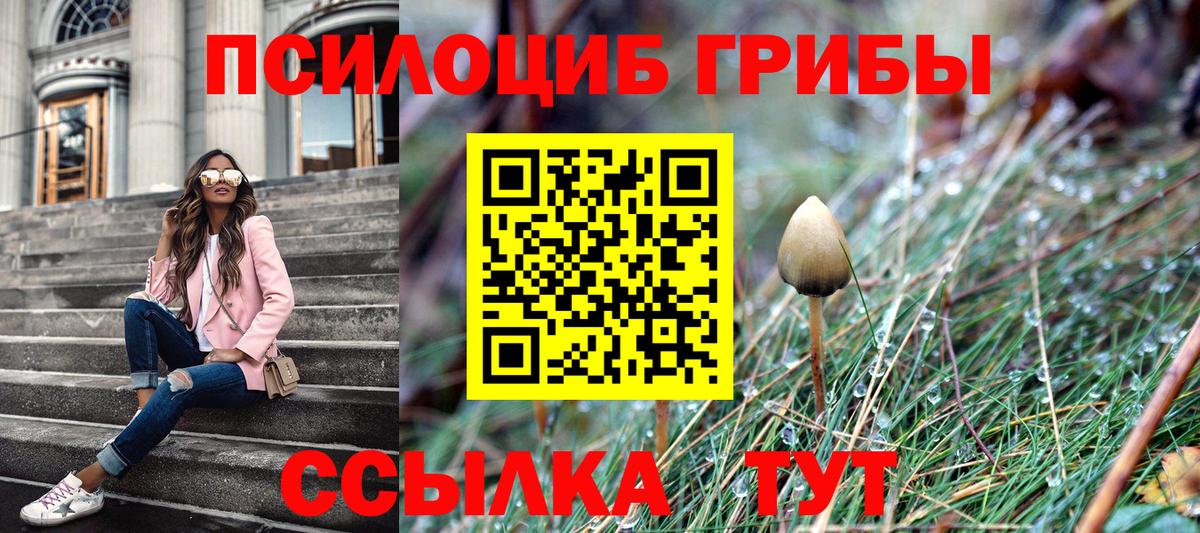 Псилоцибиновые грибы Cubensis  Вход с VPN  Псилоцибиновые грибы Cubensis  Ишим 
